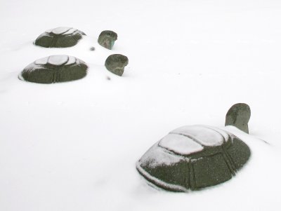 Turtle Sculpture Pieces in a Sea of Snow