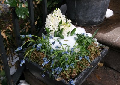Hyacinth Stoop Planter