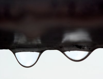 Looking Glasses - Rain Drops