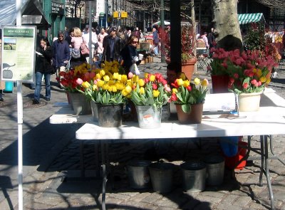 Green Market at Richard Tucker Square