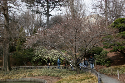 Japanese Pond Garden Path