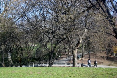 Park Reflection in Museum Window