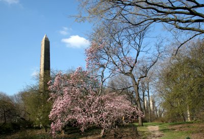 Cleopatras Needle from the Museum