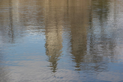 Lake View - Beresford Apartment Tower Reflections