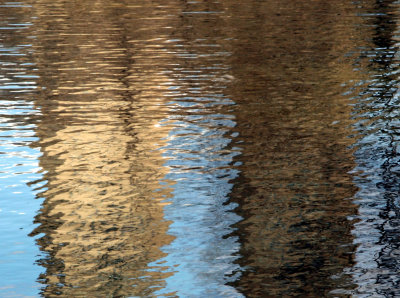 Lake View - Beresford Apartment Tower Reflections