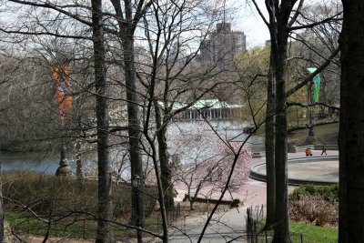 Lake View - Betheda Fountain & Boat House