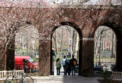 Courtyard at NYU Law School - Vanderbilt Hall