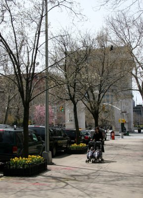 Spring View toward the Washington Square Arch