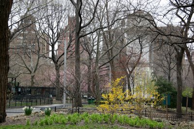 Park View & the Arch