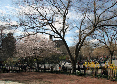 At Last - A Real Spring Day in the Park