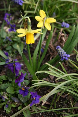 Garden Plot