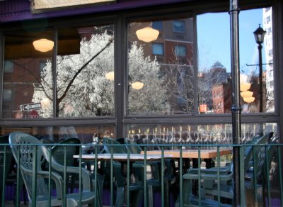 24 Hour Cafe - Pear Tree Window Reflection