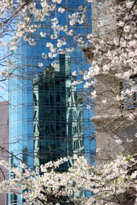 Astor Place Glass Tower & Cherry Tree Blossoms
