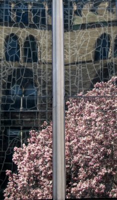 Window Reflections