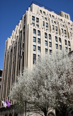 NYU General Facilities Building & Pear Tree Blossoms