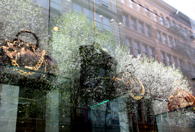 Bags for Sale Window with Pear Tree Reflections