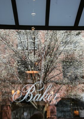 Baker Furniture Window with Pear Tree Reflections
