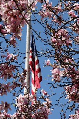 Flag at Half Mast for Students Killed at VA Tech