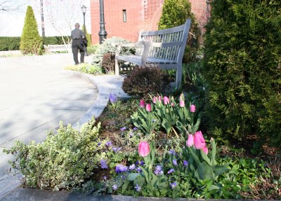 Robert Wagner Jr Garden View