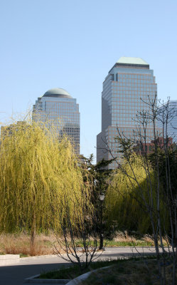 Willow & Financial Center Skyline