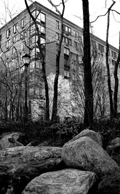 Rock Garden - B&W