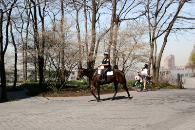 NYPD Mounted Policeman