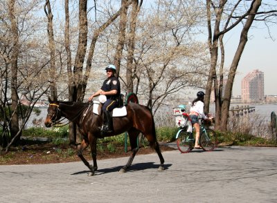 NYPD Mounted Policeman