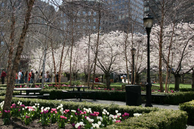 Financial Center Gardens