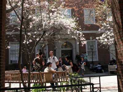Courtyard at NYU Law School - Vanderbilt Hall