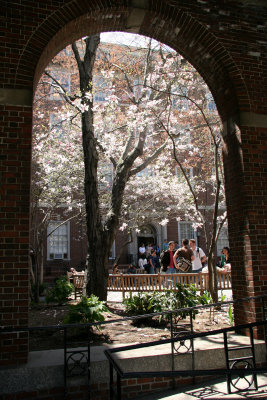 Courtyard at NYU Law School - Vanderbilt Hall
