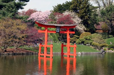 Garden View - Japanese Pond Garden