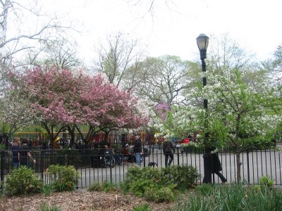 Spring - Tompkin's Park