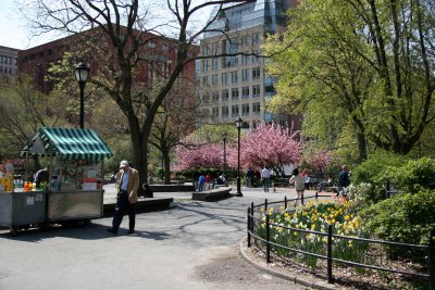 Park View  - NYU Library & Student Center