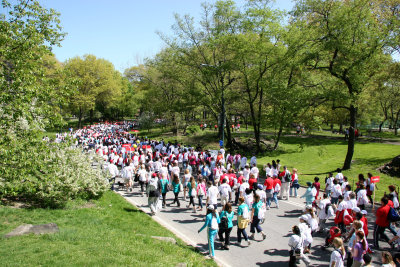 Womens March to Defeat Cancer