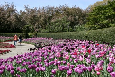 Spring 2007 & 2008 - Central Park Conservancy Gardens