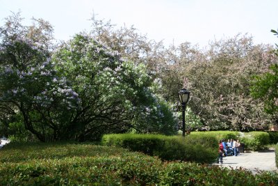 Central Park Conservatory