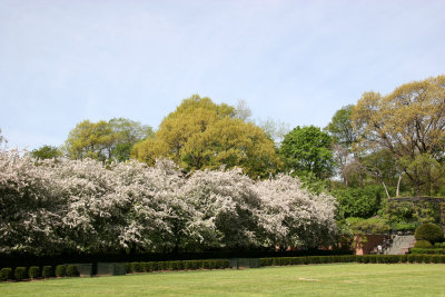 Central Park Conservatory