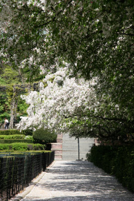 Central Park Conservatory