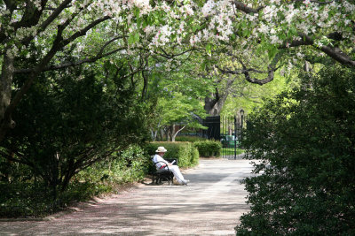 Central Park Conservatory