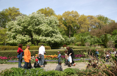 Central Park Conservatory