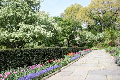 Central Park Conservatory