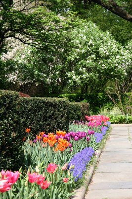 Central Park Conservatory