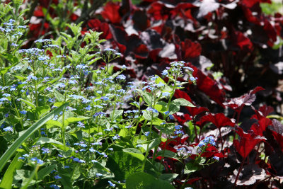 Central Park Conservatory