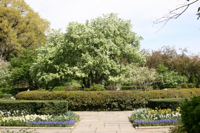 Central Park Conservatory