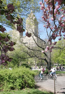 El Dorado Residence at West 90th Street