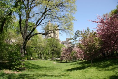 Park & CPW View