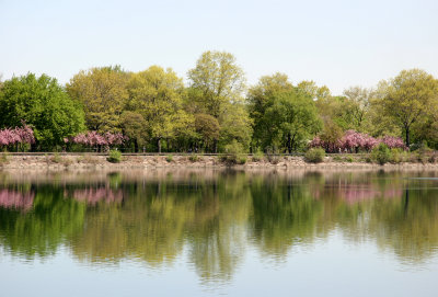 North  End of the Reservoir Shore