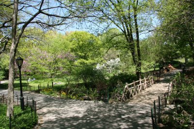 Path to Hernshead at the Lake