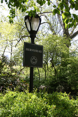 Hernshead at the Lake Entrance