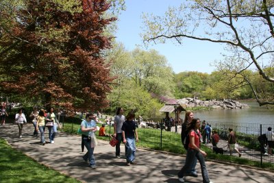 Performance Area by the Lake